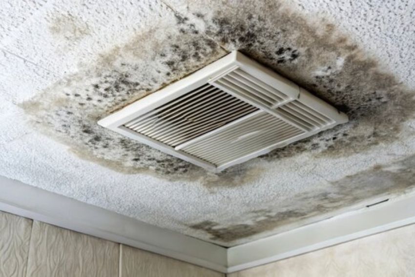 Mold present on a bathroom ceiling, illustrating the need for professional HVAC mold removal services in Fort Worth, TX.