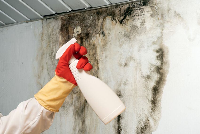 A technician in a white coat and red gloves is spraying mold treatment on a wall in a Fort Worth, TX bathroom.
