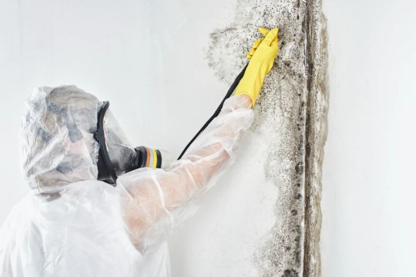 A technician in a white protective suit removes mold from a wall, highlighting a black mold removal service in Fort Worth, TX.