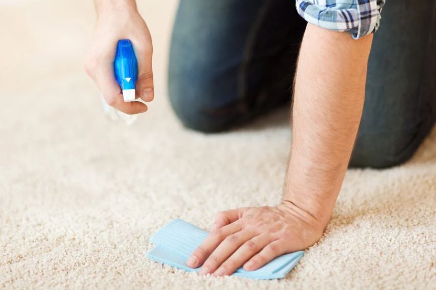 A man cleaning a carpet with a blue sponge, showcasing a carpet mold removal service based in Fort Worth, TX.
