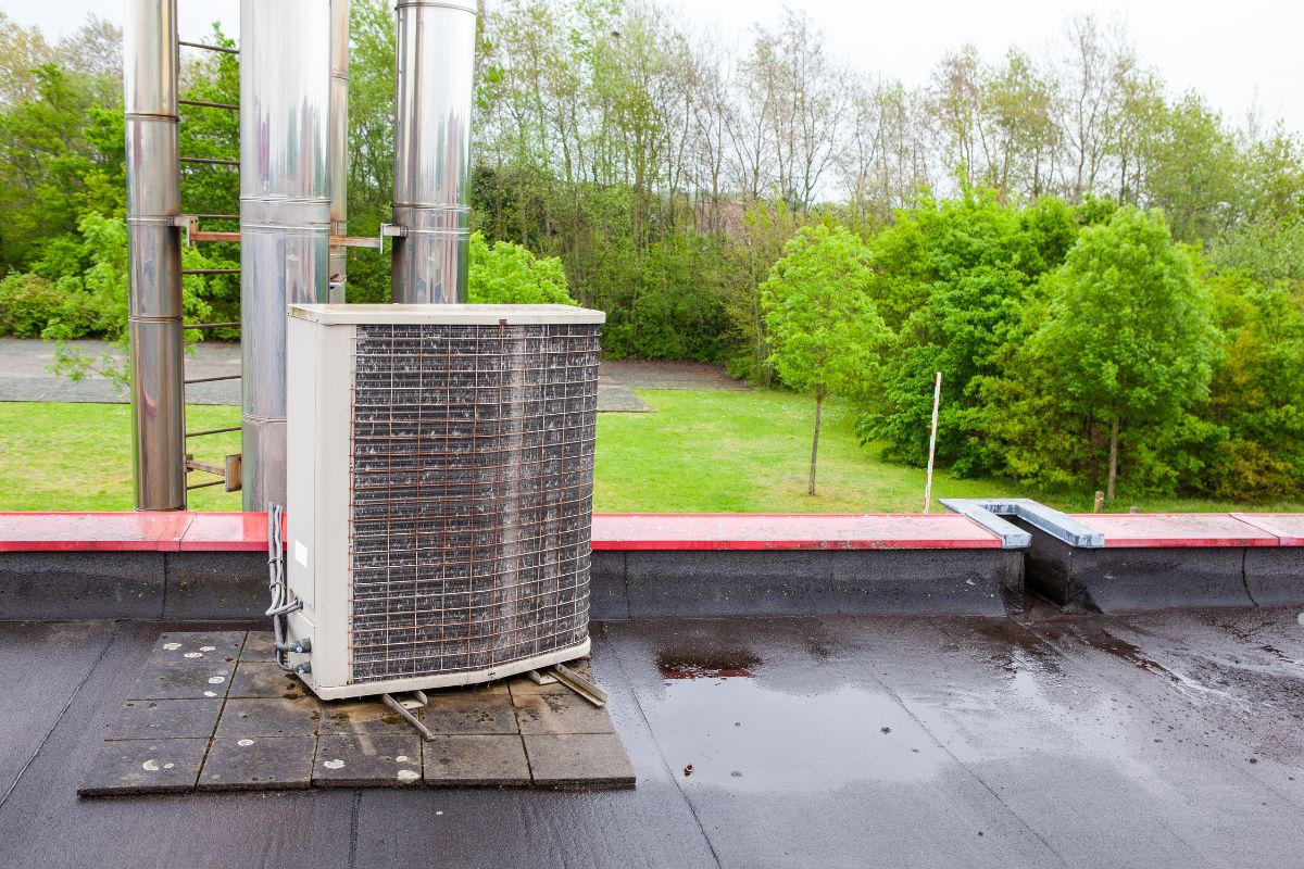 Mold in Air Ducts