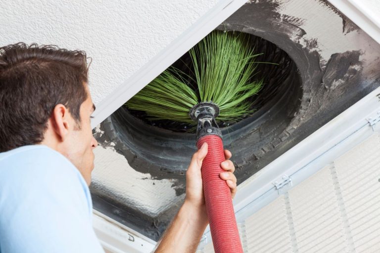 Mold in Air Ducts