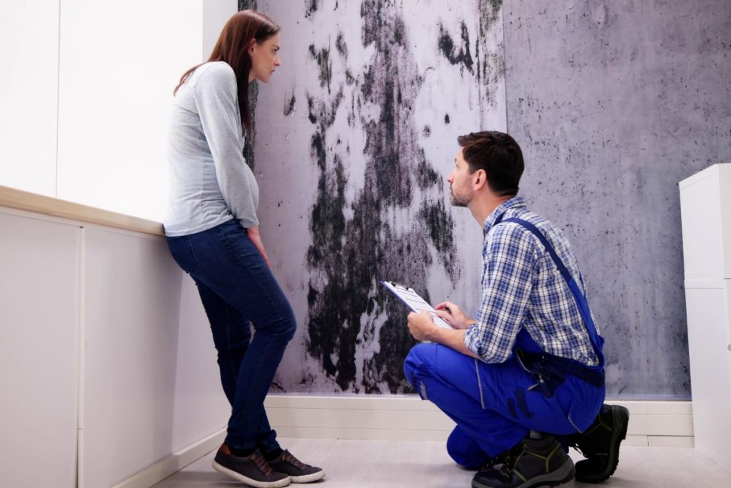 Mold Toxicity in Home